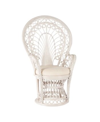 Baby/Wedding Shower Chair