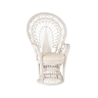 Baby/Wedding Shower Chair