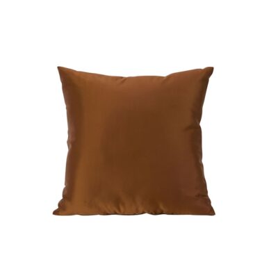 Brown Color Theory Pillows