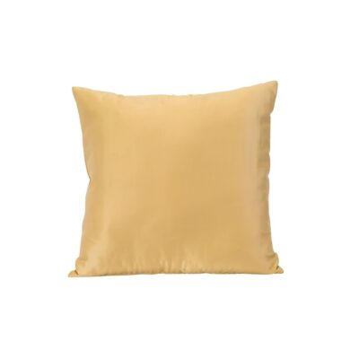 Gold Color Theory Pillows