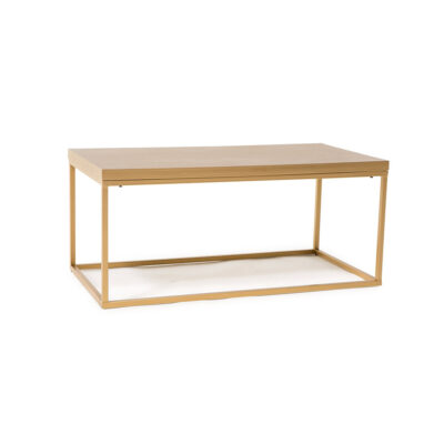 Gold Mabel Coffee Table