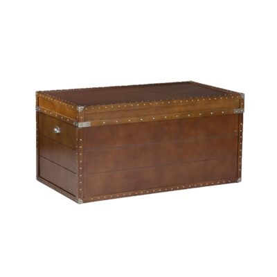 The Duke Vintage Trunk