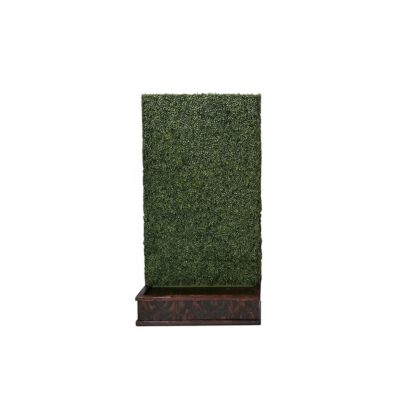 Hedge Walls